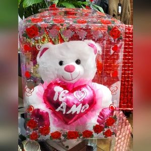 Teddy Bear With Box lncluded